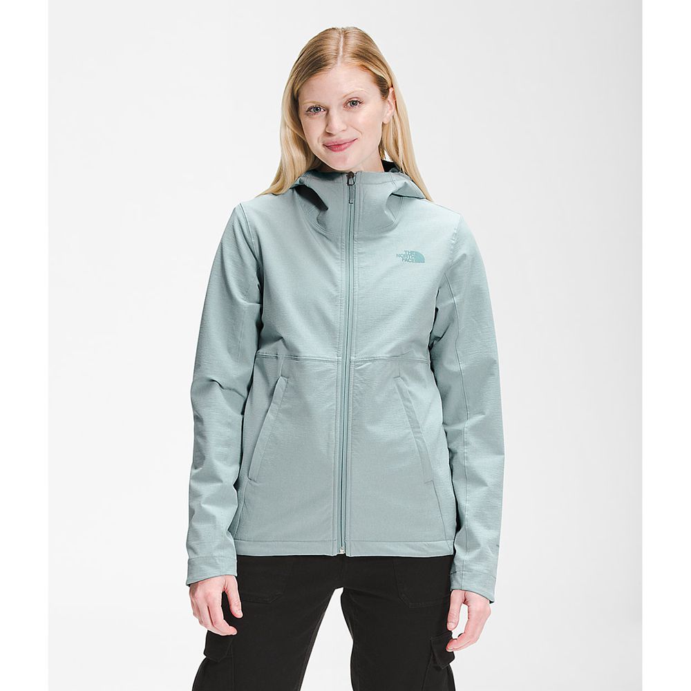 The North Face Hooded Jacket Womens Australia - The North Face Shelbe Raschel Silver Blue (DFT-39162